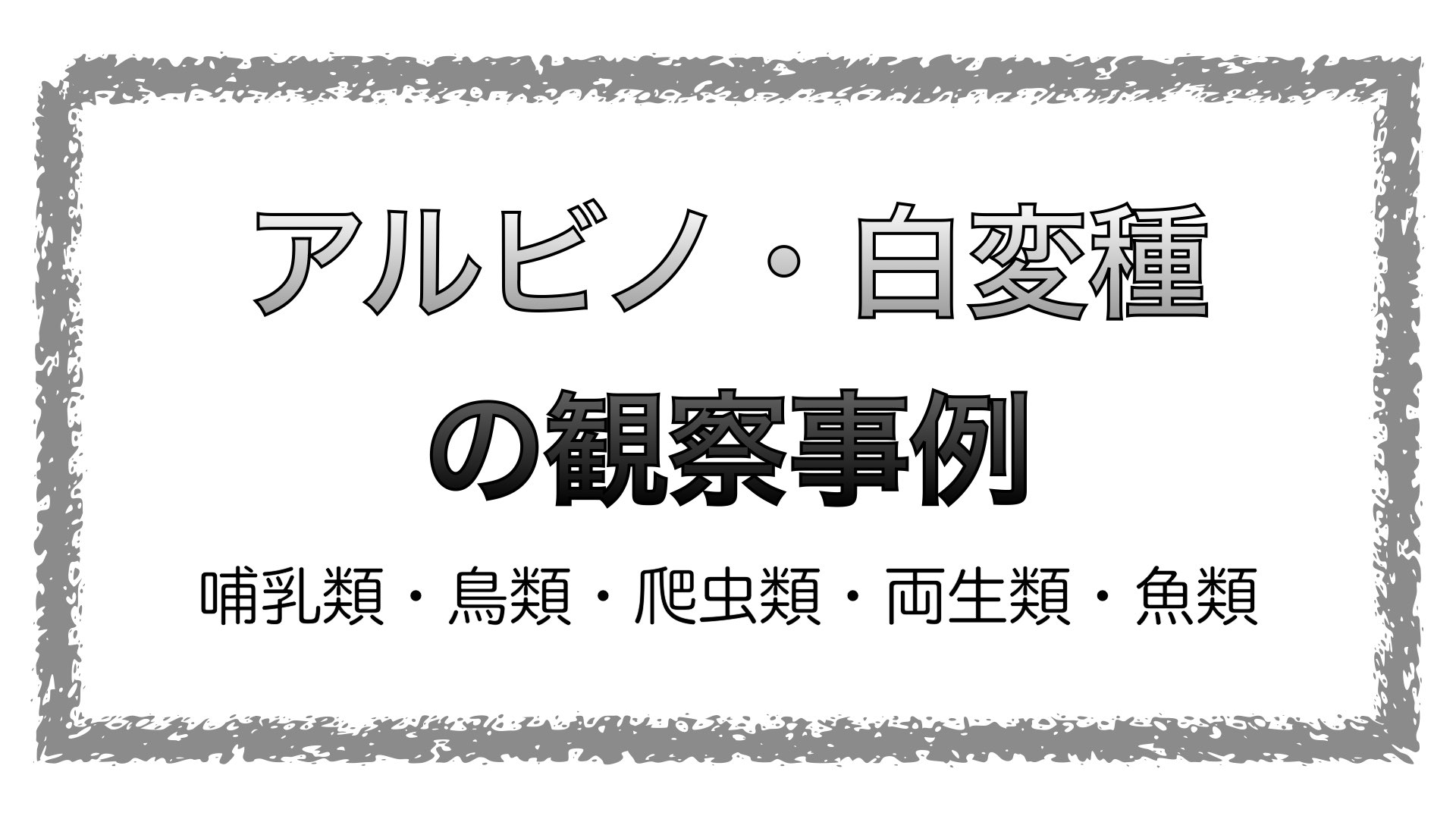 日本国内で確認されたアルビノ個体・白変種の記録|GISで学ぶ野生動物・鳥類の生態