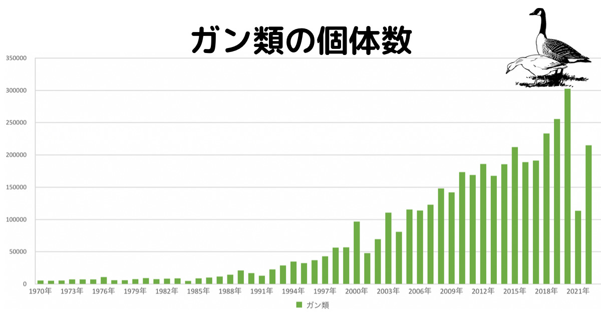 ガンカモ類の生息調査(2022年1月)の結果速報 |GISで学ぶ野生動物・鳥類の生態