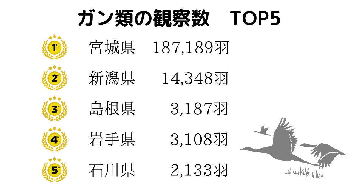 ガンカモ類の生息調査(2022年1月)の結果速報 |GISで学ぶ野生動物・鳥類の生態